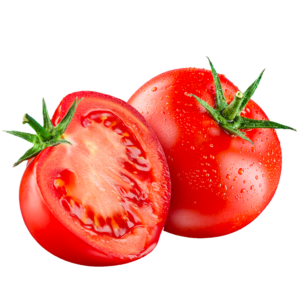 tomatoes